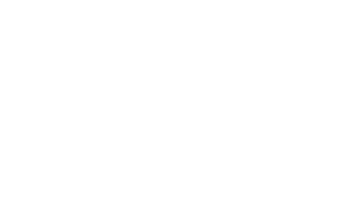 採用情報