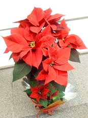 2009/12/24 2009/12/24